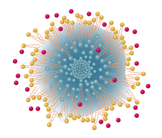 Why Liquid Liposomal?
