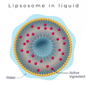 Why Liquid Liposomal?