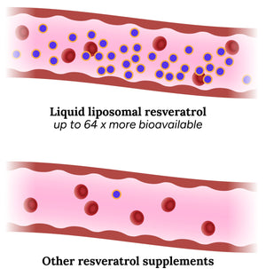 IDUNLIFE Liposomal Resveratrol - Flytande formula med hög biotillgänglighet - 250 ml