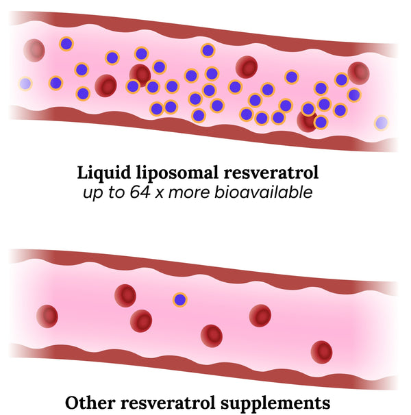 IDUNLIFE Liposomal Resveratrol - Flytande formula med hög biotillgänglighet - 250 ml